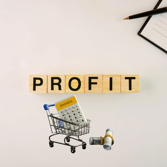 Shop and Earn Income